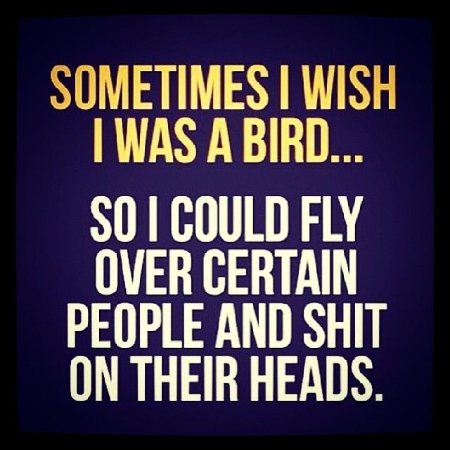 Sometimes I wish I was a bird Sometimes I wish I was a bird