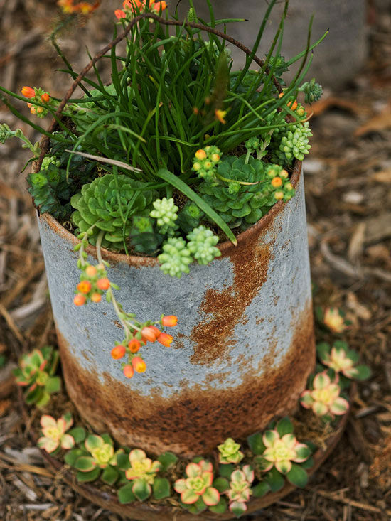 Rustic Chicken Feeder Rustic Chicken Feeder