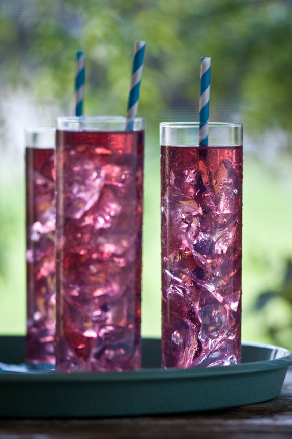 Blueberry shrubs