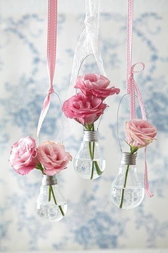 Hanging roses