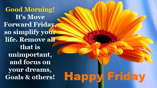 good morning