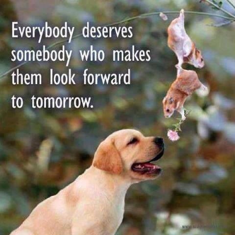 everyone deserves somebody everyone deserves somebody