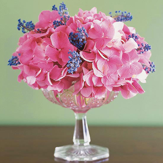 Hydrangeas and grape hyacinths