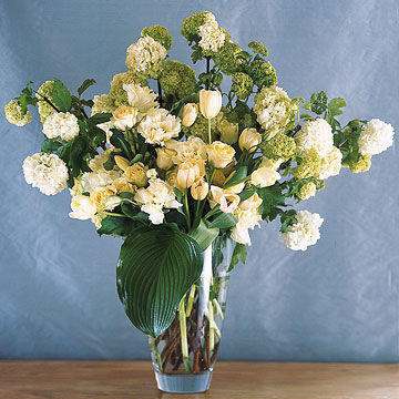 Viburnum, tulips and lisianthus