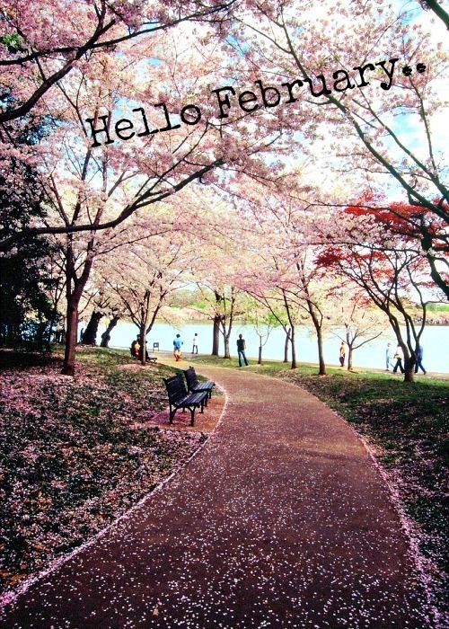 Hello February