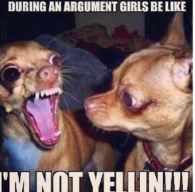 During An Argument