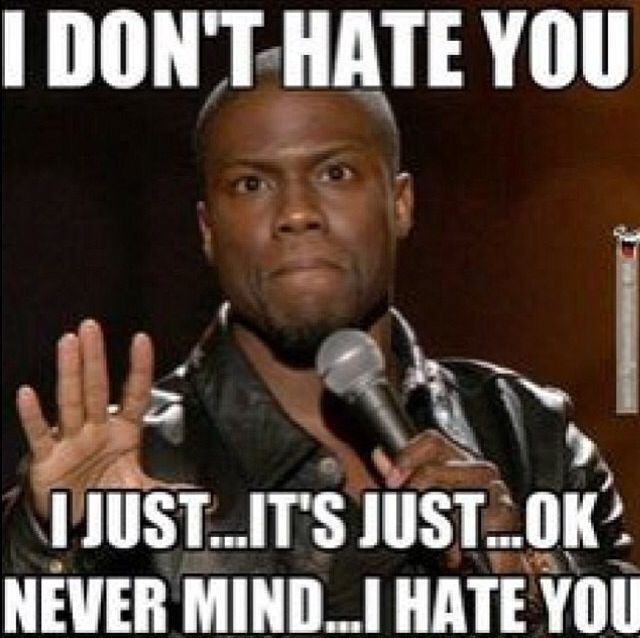 I Dont Hate You I Dont Hate You