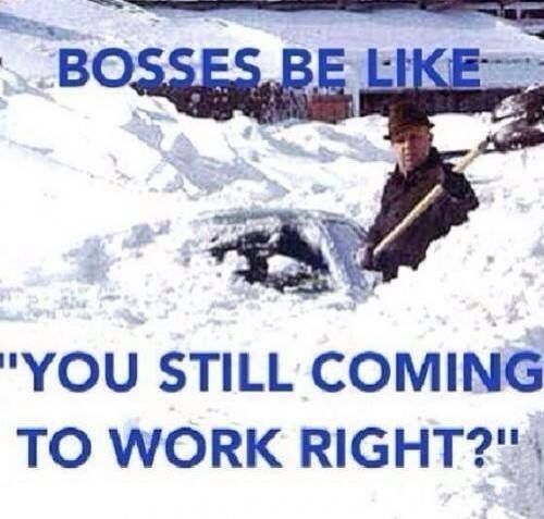 bosses be like