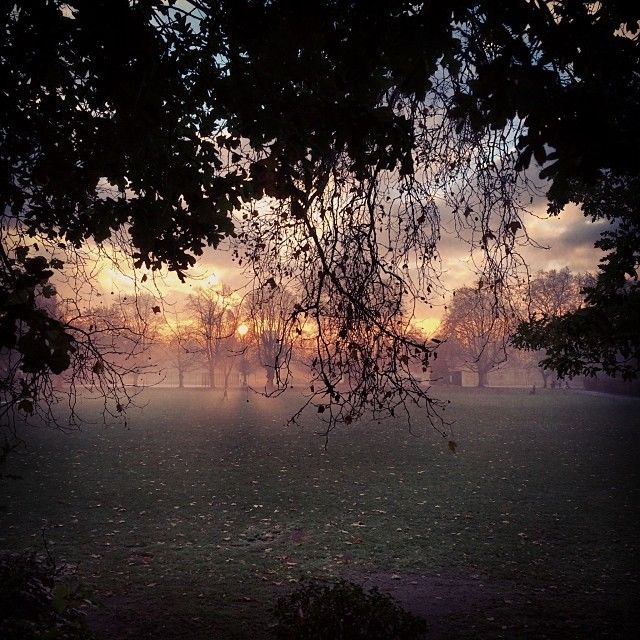 Foggy Sunrise in London