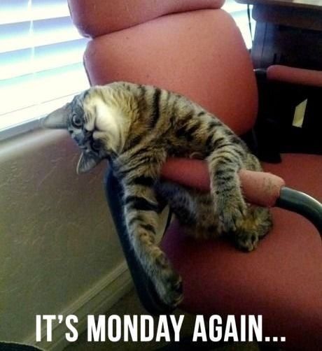 its Monday again