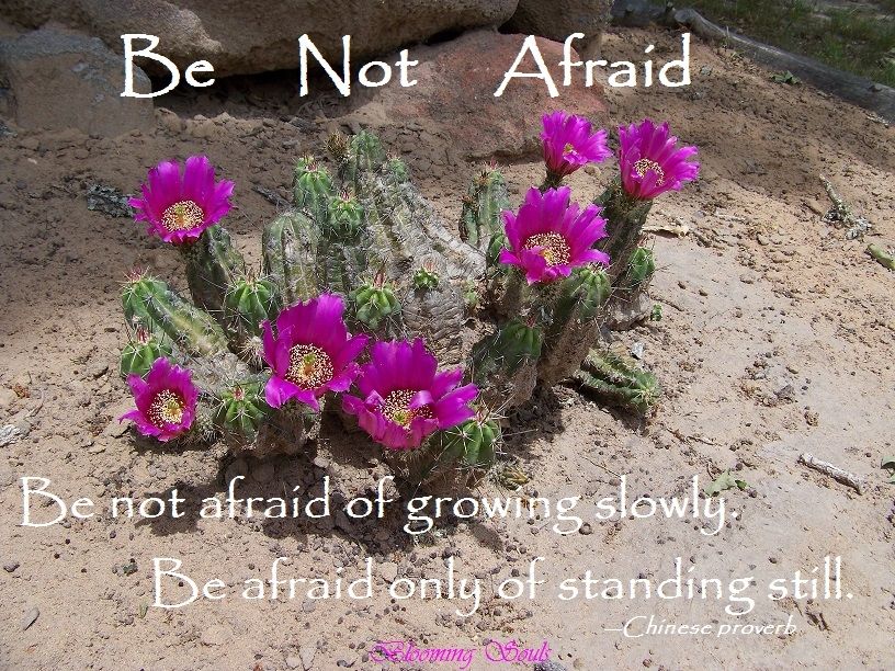 Be Not Afraid