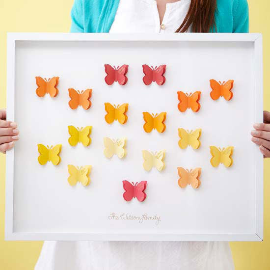 Framed butterfly family tree Framed butterfly family tree