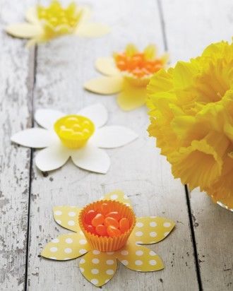 Daffodil Candy cups Daffodil Candy cups