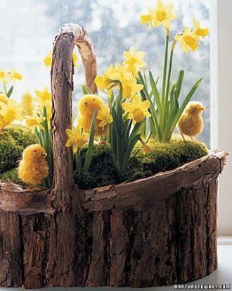 Daffodil and pom pom chick baskets