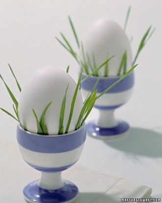 Green Grass in Eggcups