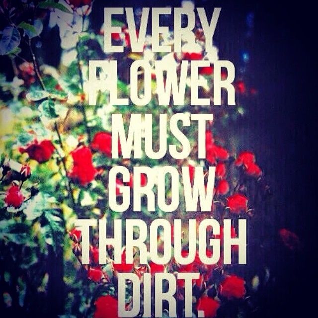 Every flower must grow though dirt