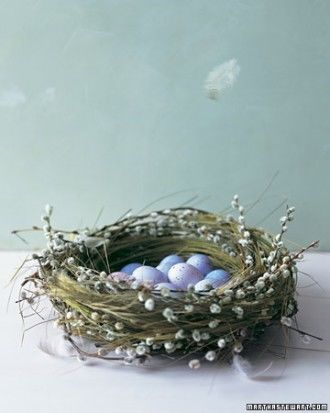 Birds nest with Quince Branches