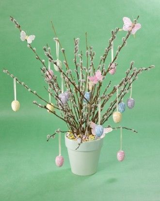 Pussy willow arrangement