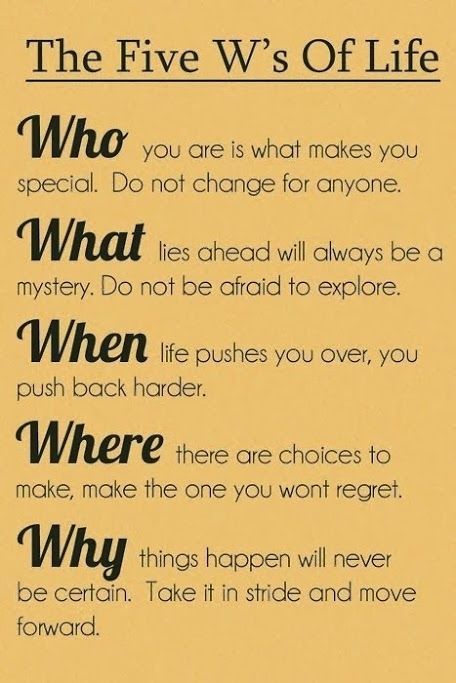 The 5 Ws