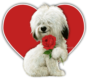 Happy Valentine's Day Happy Valentine's Day