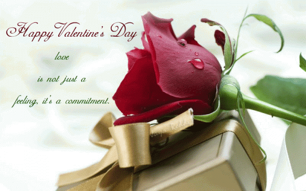Happy Valentine's Day Happy Valentine's Day