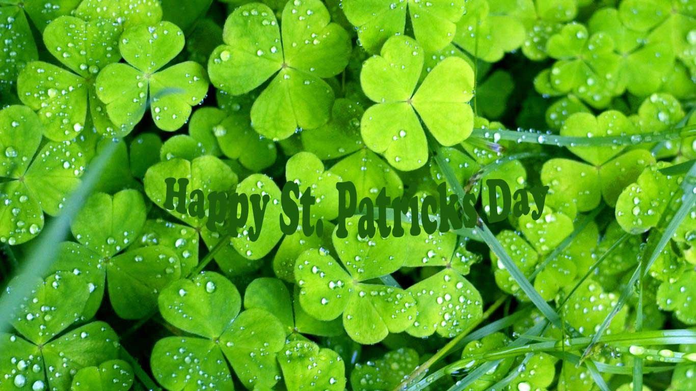 Happy St Patricks Day Happy St Patricks Day