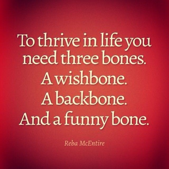 To thrive in life, you need three bones To thrive in life, you need three bones