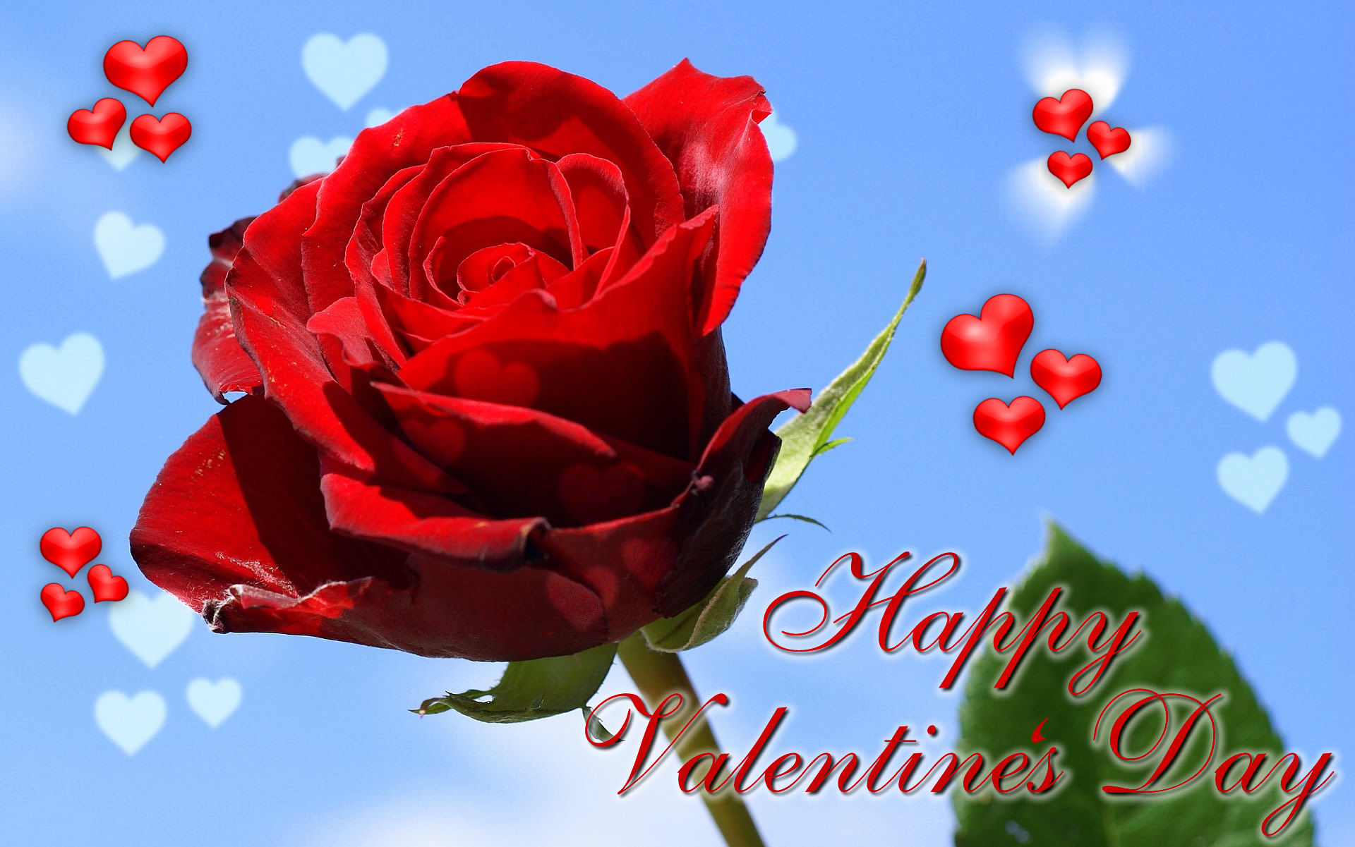 Happy Valentines Day