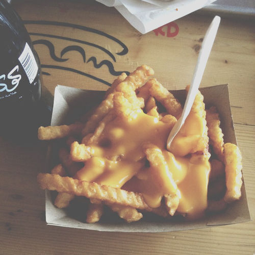 Cheese fries Cheese fries
