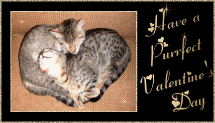 Have a perfect Valentines day Have a perfect Valentines day