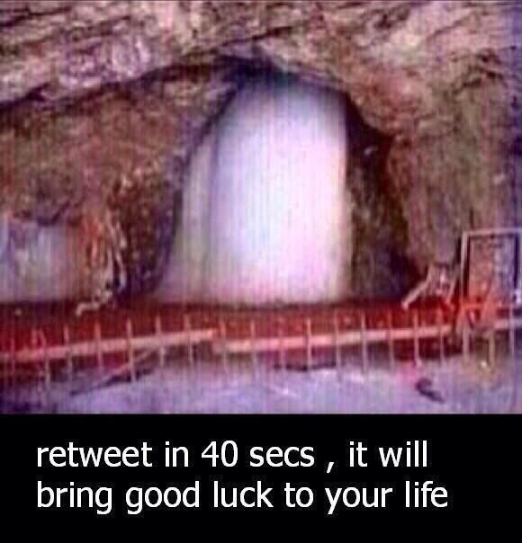 retweet retweet