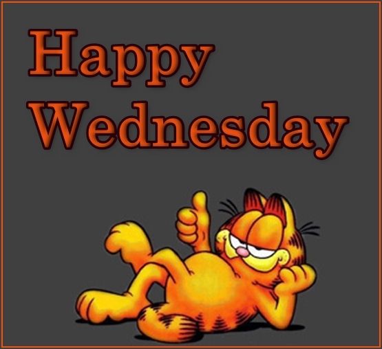 Happy Wednesday