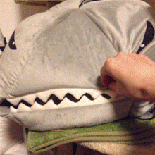 Peekaboo cat Peekaboo cat
