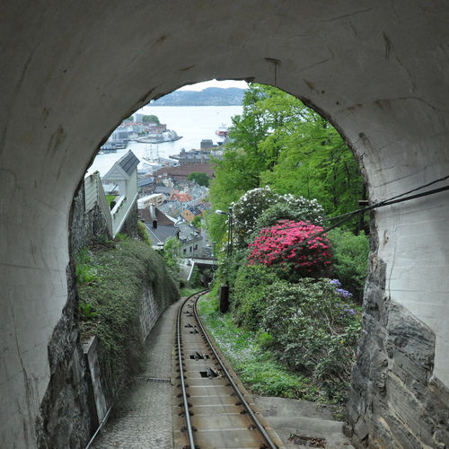 Tunnel Tunnel