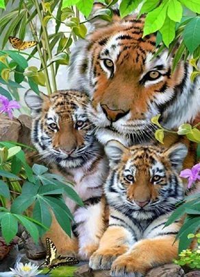 Family Portrait!! Family Portrait!!