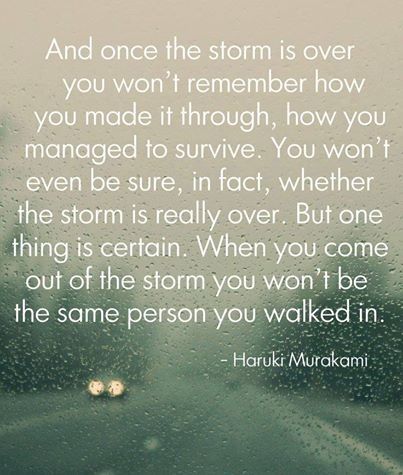 once the storm is over once the storm is over
