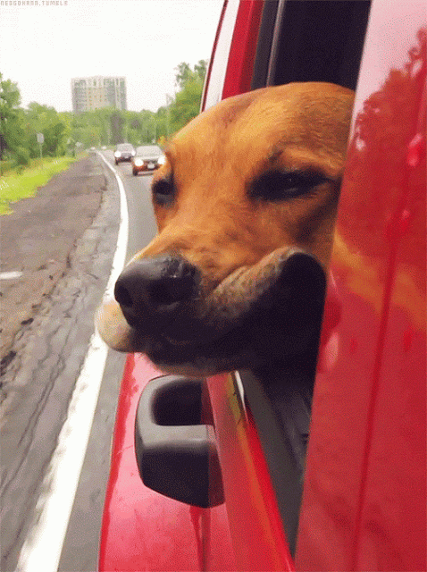feel the wind