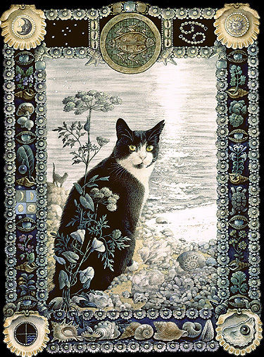 Cat Illustration Cat Illustration