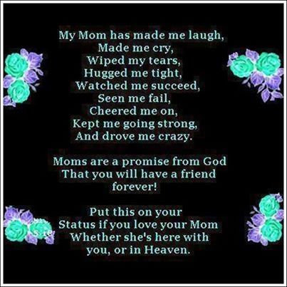 my mom my mom