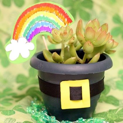 Pot o green planter