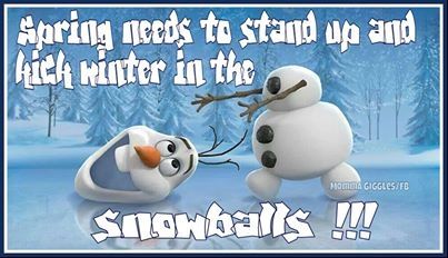 spring needs to stand up spring needs to stand up