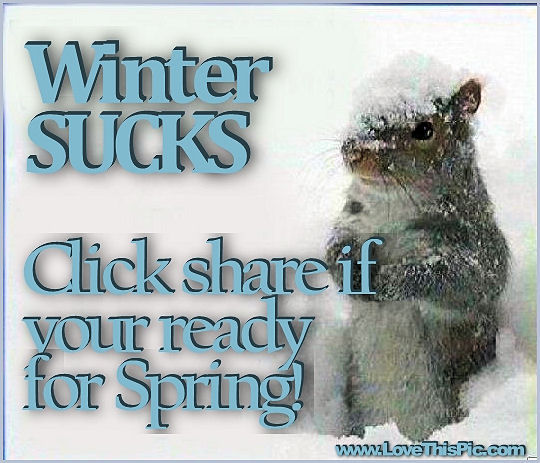 Winter Sucks Winter Sucks