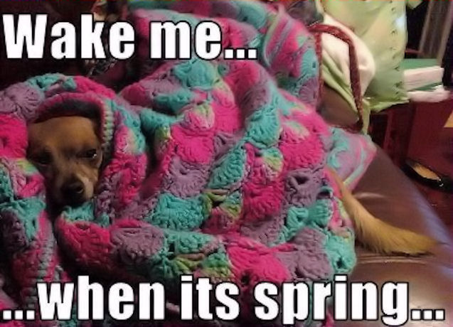 Wake me when its spring Wake me when its spring