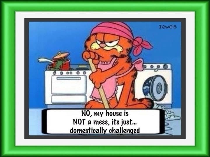 domestically challenged