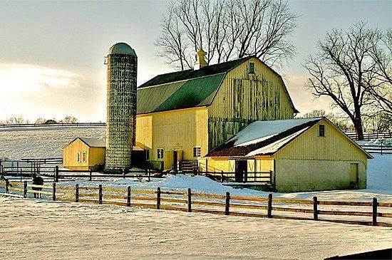 Old Yellow Barn