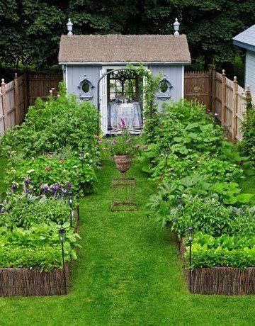 Raised Bed Garden