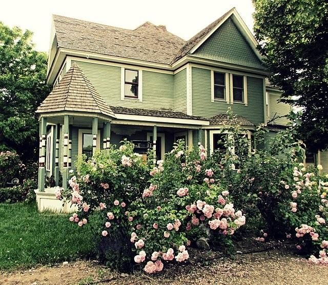Farm House Surrounded by Pink Roses