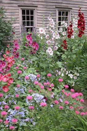 Cottage Garden Cottage Garden