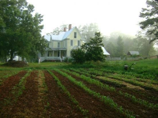 Garden of Country Farmhouse