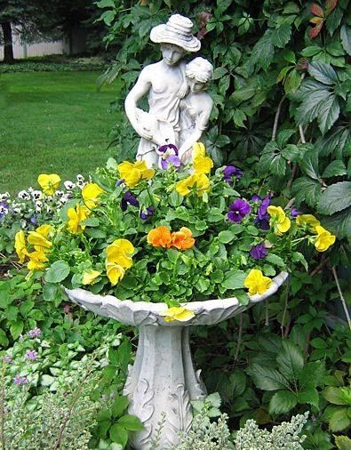Pansies Planted in Birdbath Pansies Planted in Birdbath
